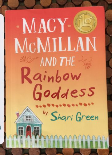 Diverse chapter book Macy Mcmillan