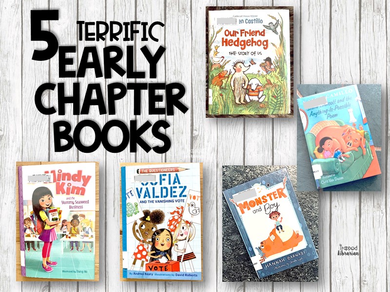 33 Best Early Chapter Books for Boys (Early Readers for Boys Ages