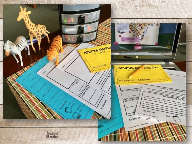 Animal Research Skills for Kindergarten and First Grade